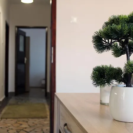 Daydream Apartment *